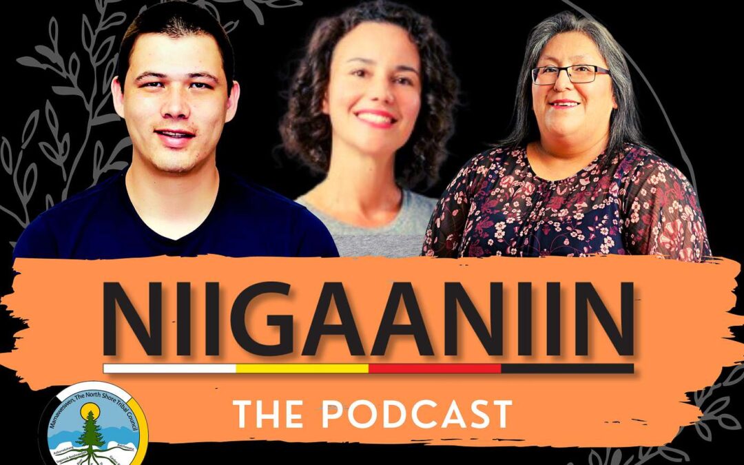 We’re Back! The Best Way to Fight the System is to Make Your Own | KINOOMAAGEWIN