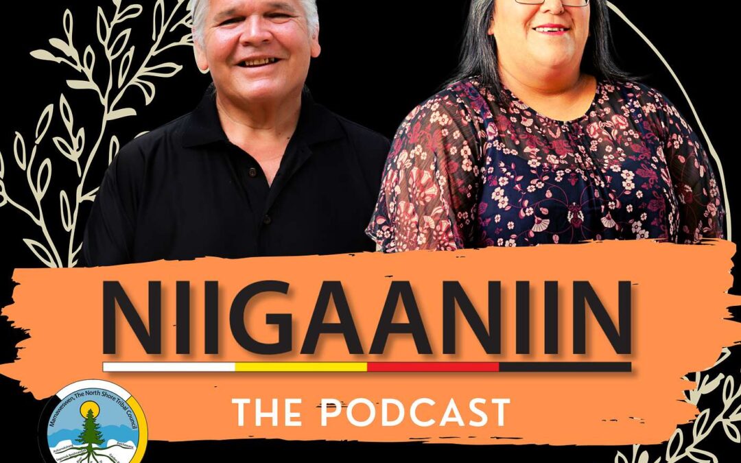 Connecting with Anishnaabemowin: A Journey with Duckie