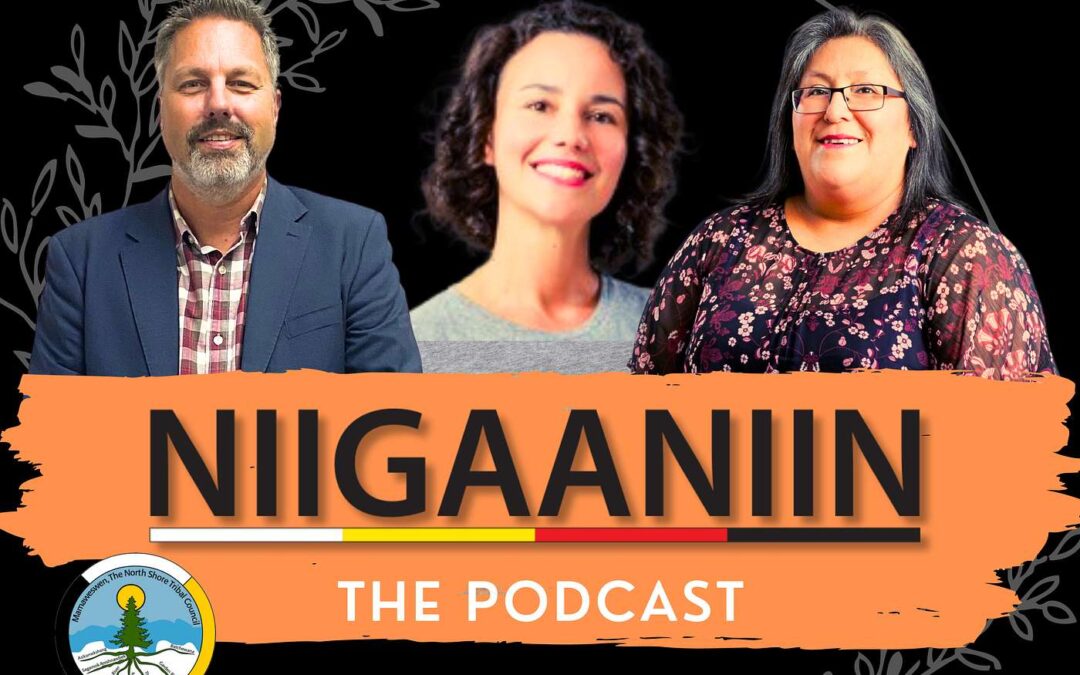 Niigaaniin’s Dynamic Partnership with DSSAB: An Exclusive Conversation with CEO Mike Nadeau