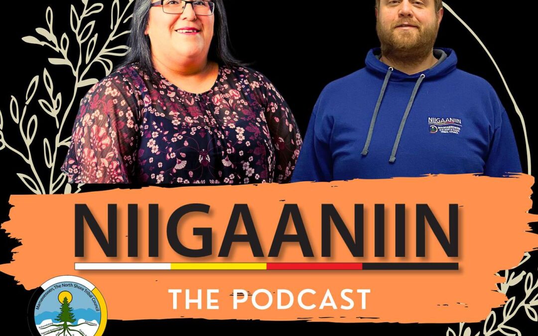 Kinoomaagewin: Nurturing Sovereignty with Erik Bringleson