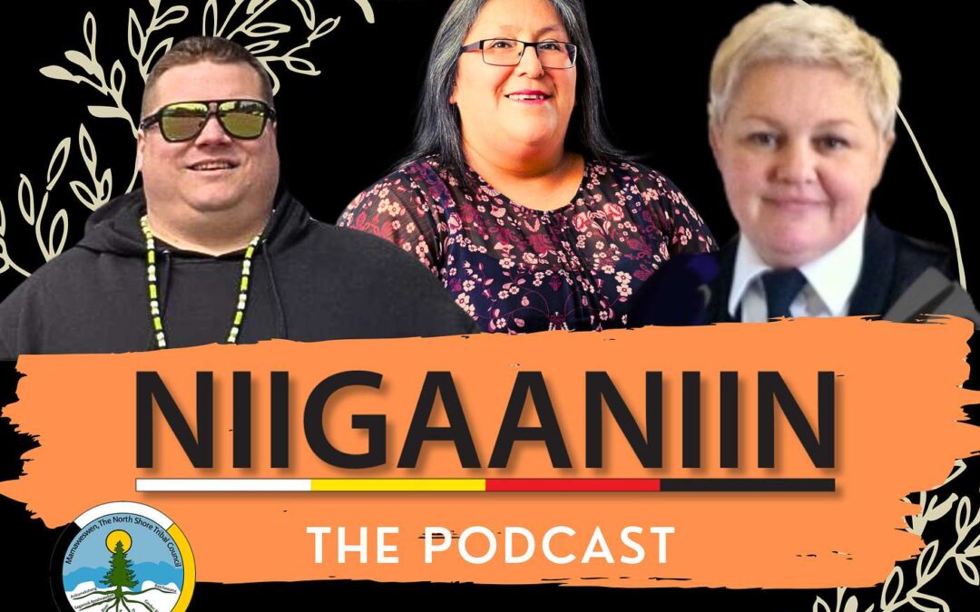 ServiceOntario Spotlight: Bringing Essential Services Home with Niigaaniin Services