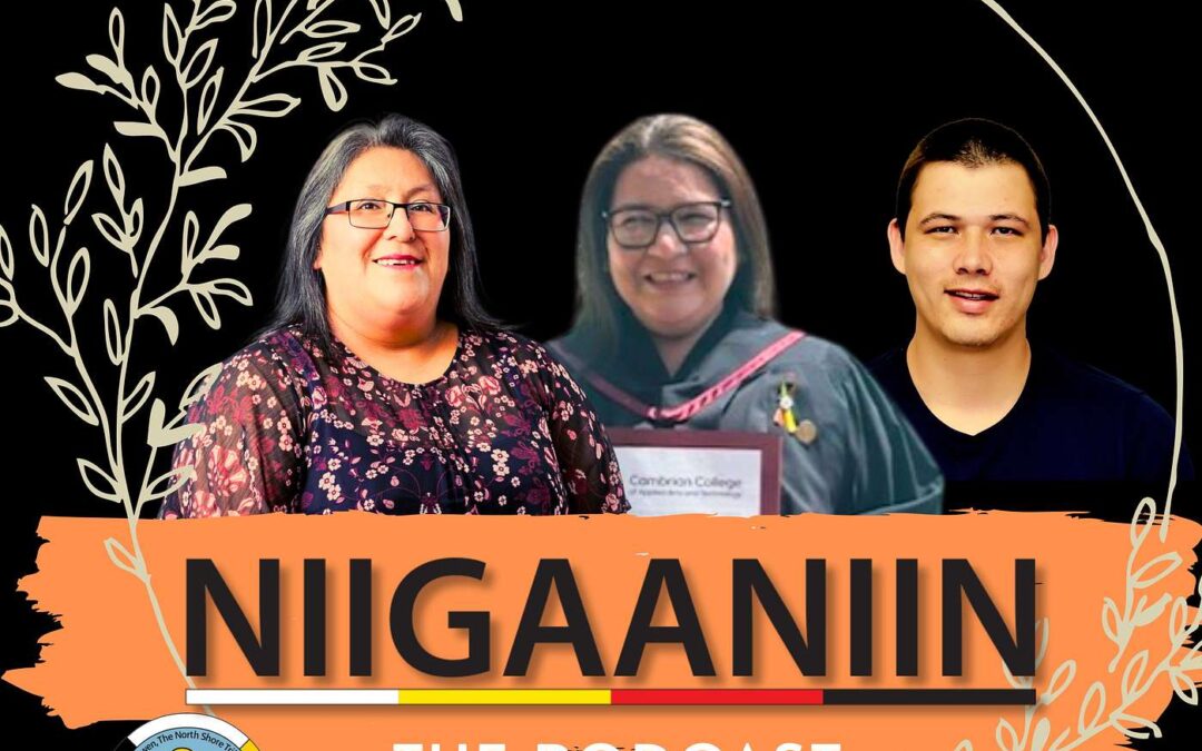 Community Member Spotlight